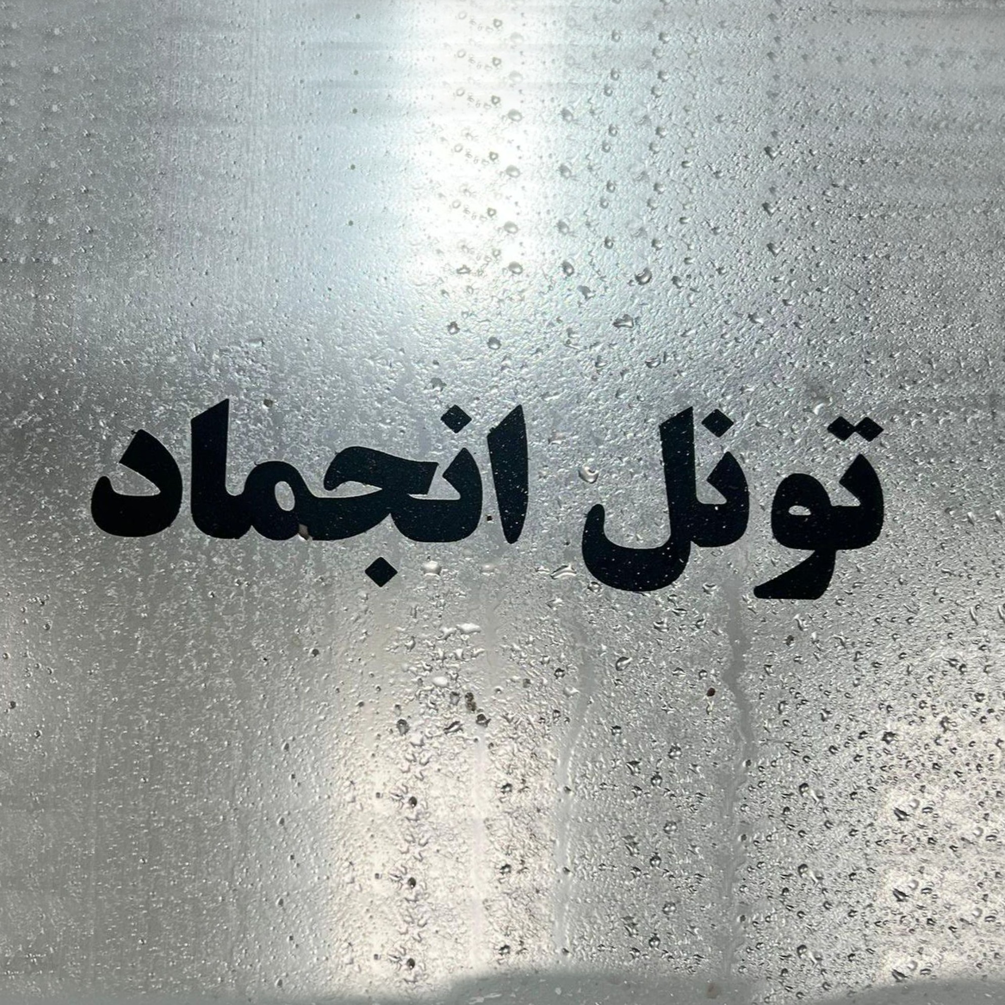 سردخانه تونل انجماد 15 تنی 